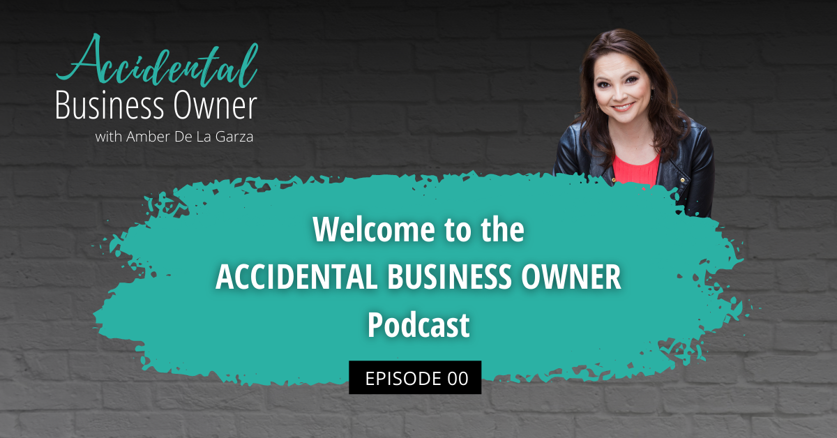 PST SW - 244 The Accidental Business Owner